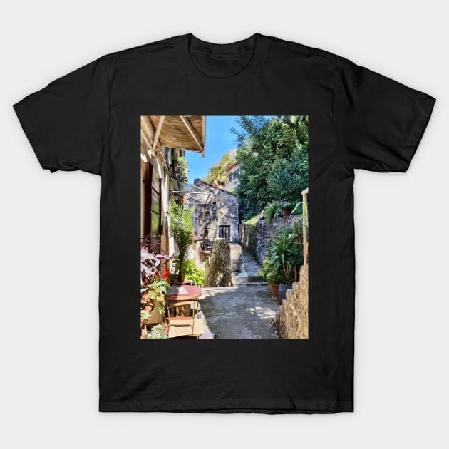 Houses in Kotor T-Shirt by Zamart20